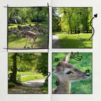 奈良公園：與鹿共舞的綠意天堂 🦌🌳