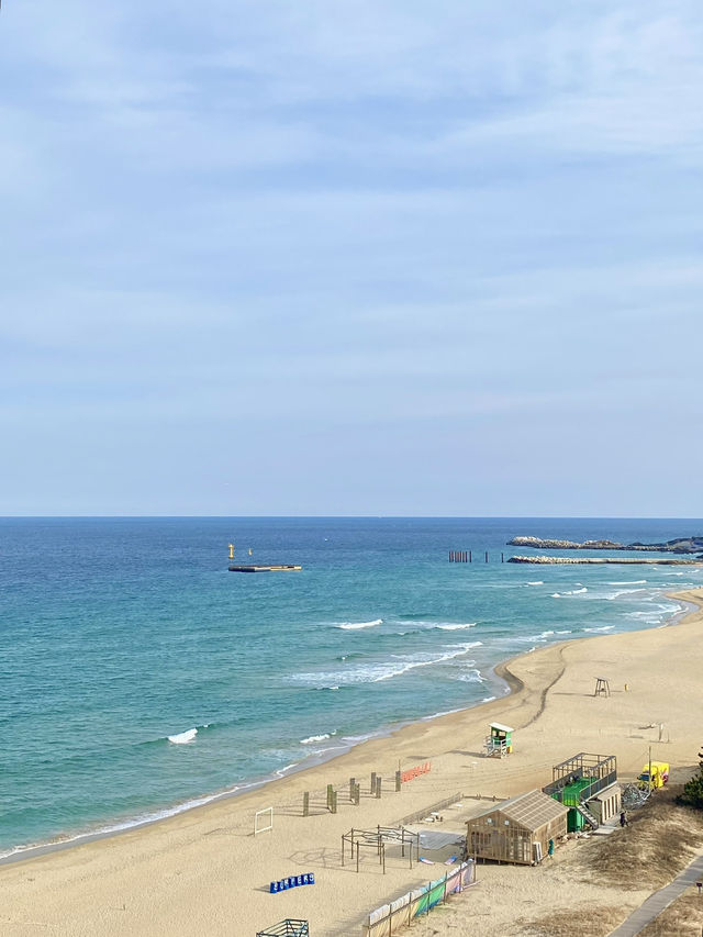 ☀️여름하면 바다! 동해안 바다여행🌊🏖️