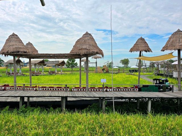 บ้านรักษ์นา ร้านอาหารไทย ในท้องทุ่งนา 