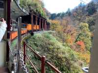 黒部峡谷トロッコ列車