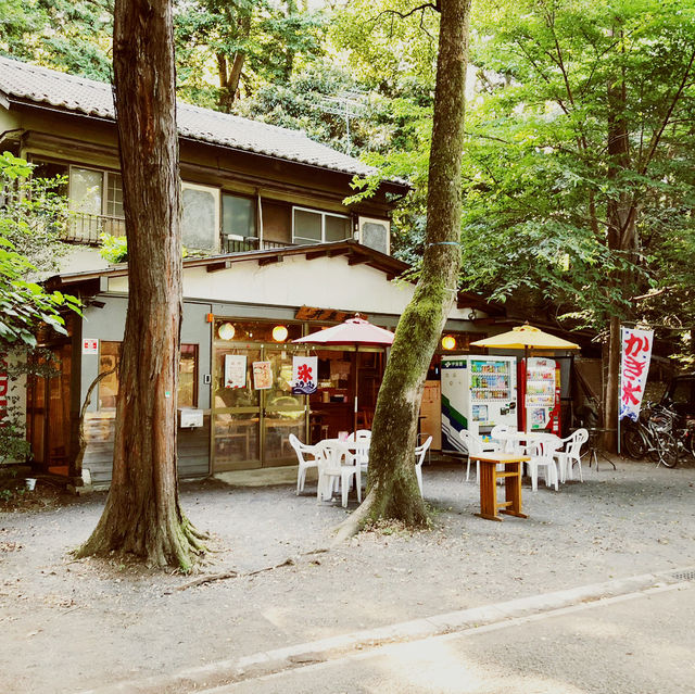 ～井の頭恩賜公園～