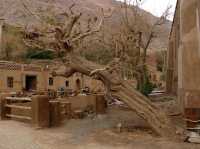 Mazar Village, A Hidden Gem of Spiritual and Cultural Heritage