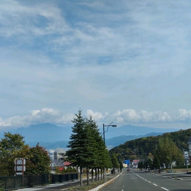 北海道之旅- 富良野富田農場/四季彩之丘