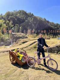 嶺南紅葉世界——廣東賞楓打卡佳選