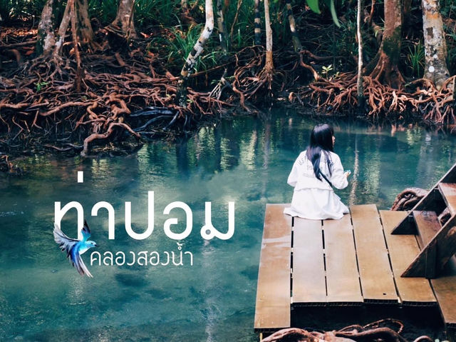 น้ำจืดและน้ำทะเลมารวมกันตรงนี้