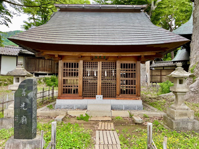 【長野県】聳え立つ欅の大木を見に行こう！