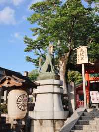 ✈️日本京都走進看不到盡頭的鳥居神社🤎