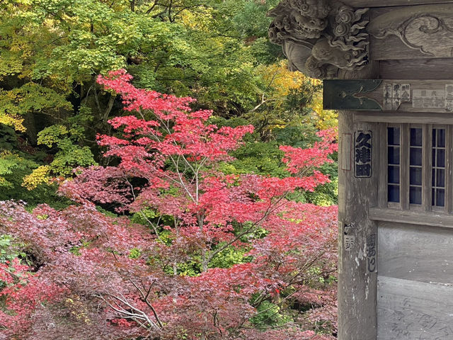 山形が誇る観光スポット「山寺」からは絶景が眺めれた