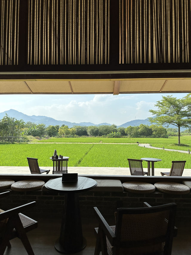 香港周邊游｜歸隱田園🌾清遠稻田咖啡館+餐廳