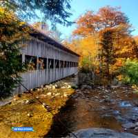 Autumn Bliss: White Mountain National Forest's Vibrant Splendor 