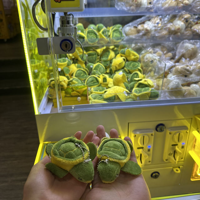 小琉球旅行小貼士：從高雄出發的精彩旅程