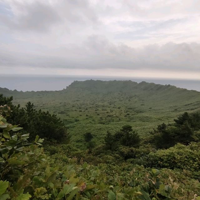🇰🇷 Volcanic Vistas: The Journey Up to Seongsan Ilchulbong