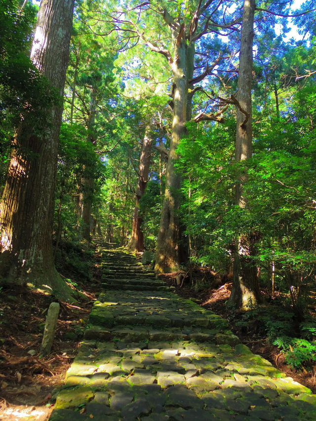 【世界遺産】「よみがえりの地」熊野古道を歩く