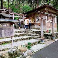เสน่ห์เมืองเกียวโต ป่าไผ่ Arashiyama