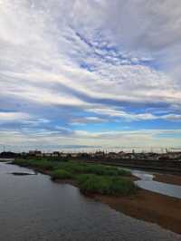 【味噌とり焼き 鳥康:三重県津市】津市の名物味噌とり焼きを食べに行こう!!