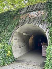 【新潟】清津峡渓谷トンネル