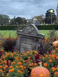 【舞浜】最高に盛り上がるランドのハロウィン2024年
