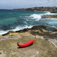 Sculptures by the Sea! 