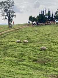 หนาวนี้ที่ ม่อนแกะ เขาค้อ🐑🌳
