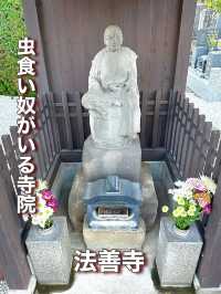 【埼玉県】虫食い奴がいる寺院