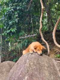 น้ำตกวังหินลาด​ อ.ย่านตาขาว​ จ.ตรัง​ ⛰️