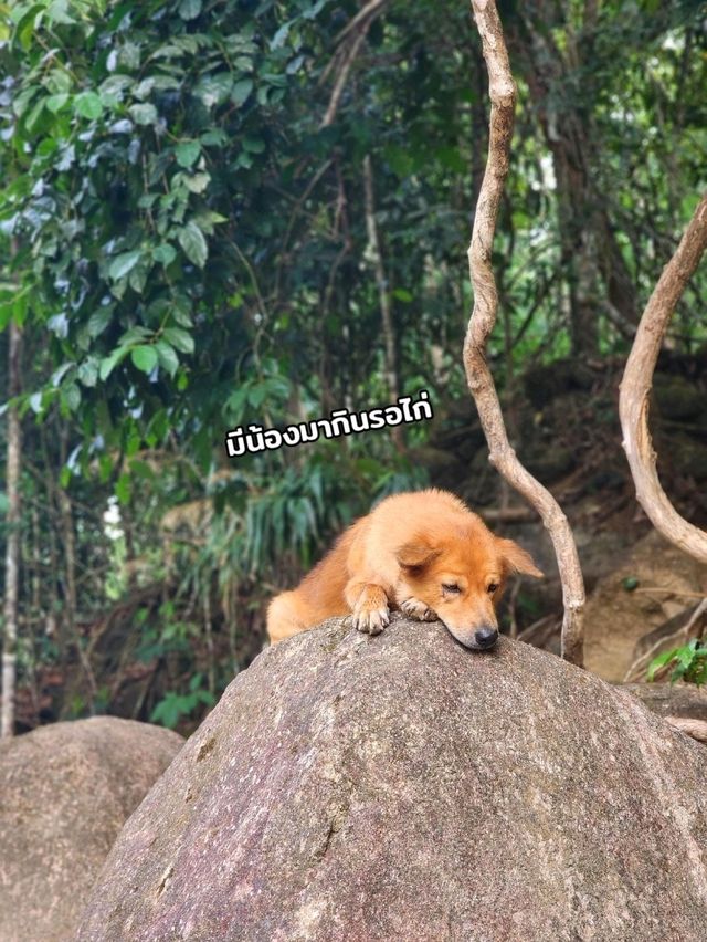 น้ำตกวังหินลาด​ อ.ย่านตาขาว​ จ.ตรัง​ ⛰️
