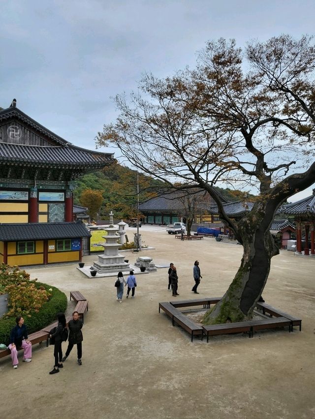힘들게 올라가면 극락을 만나는 강화도여행지