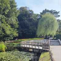 ☆ 德川園