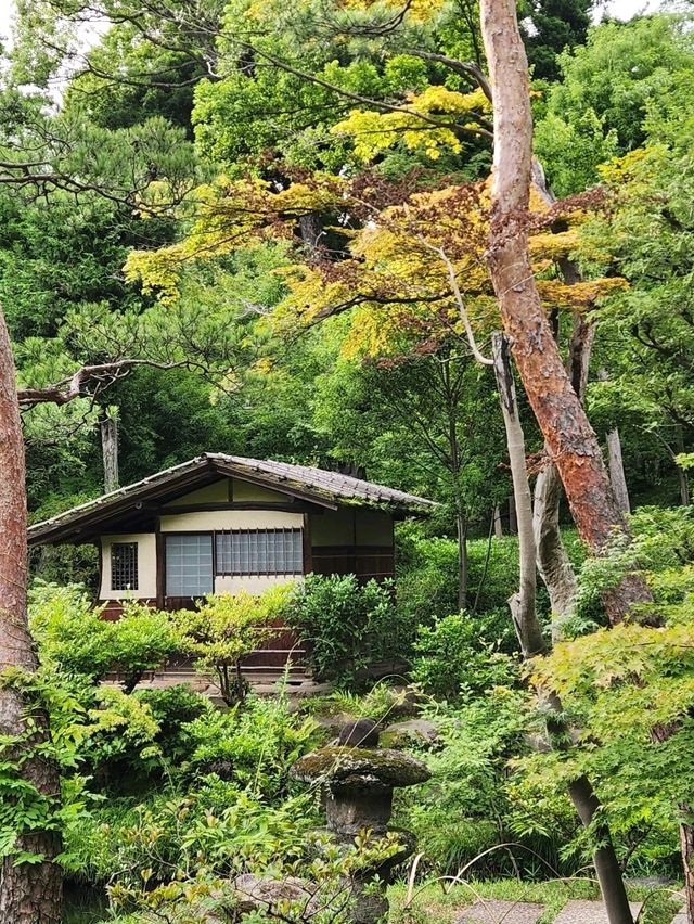 💚도쿄 고미술품 관람, 아름다운 정원, 카페까지 즐기는 네즈미술관🍀