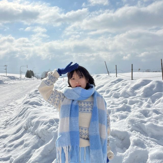 비에이 크리스마스나무 🌲 에서 인생샷 건지기 📷