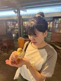 台北｜宜蘭｜鴨寮故事館🪿