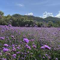 อุทยานแห่งชาติเขาใหญ่ (Khao Yai National Park)🌳