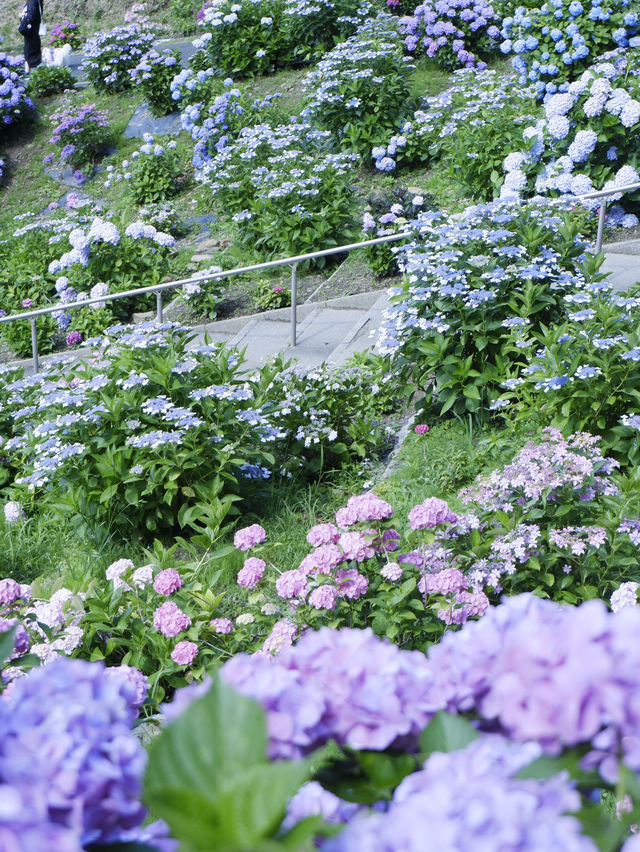 名古屋一日遊：花海＋溫泉