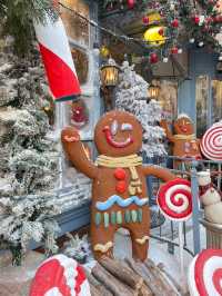 B-STORY🍪🎄🌨️