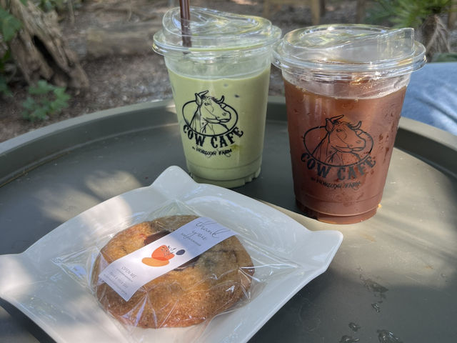 Cow Cafe by Horizon Farm 🐮🌳☕️