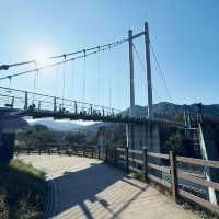 Pocheon Hantangang River Sky Bridge: A Scenic Walk Above the River 🇰🇷
