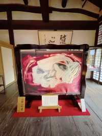 京都観光🥰🩷随心院🩷魅惑の和傘の光の祭典⛱️✨
