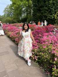Step into a fairytale of blooms at Keukenhof next year spring.