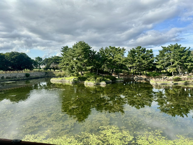 韓国　慶州　月精橋&東宮と月地