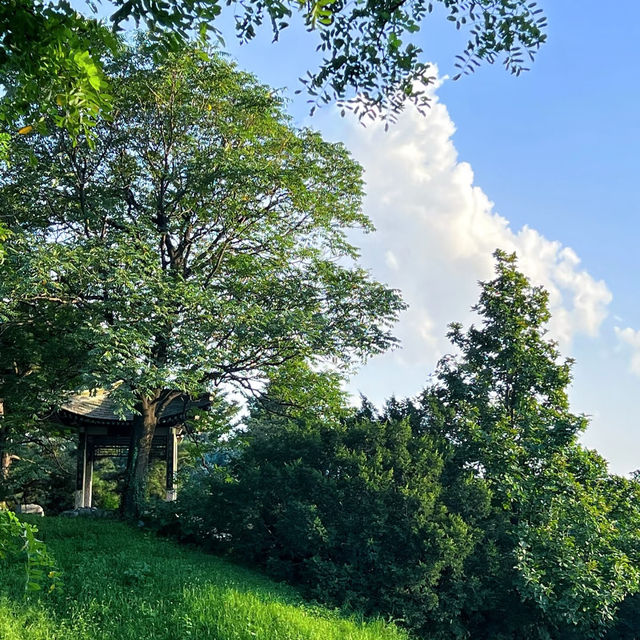 花柏山公園：悠閒秘境 🌳🌼