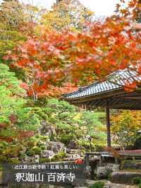 【滋賀】湖東三山最古のお寺で絶景紅葉