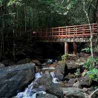 น้ำตกงามแห่งเมืองแร่นอง (ระนอง)