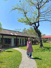 ⭐ Anata garden chill