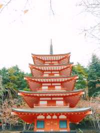 ไปชม เจดีย์แดงชูเรโตะ Chureito Pagoda กันจ้า