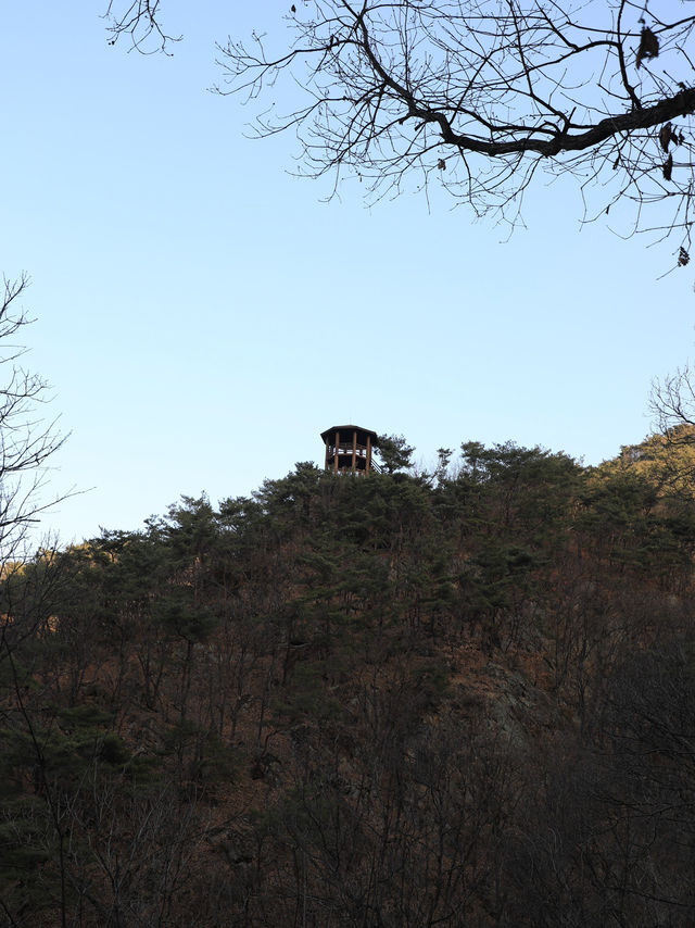 【坡州🇰🇷】スリル満点のサスペンションブリッジ