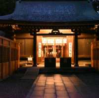 【関東】毎朝限定20体！？縁結び玉をもらいに川越氷川神社へ⛩