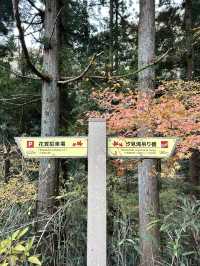 【茨城　花貫渓谷】