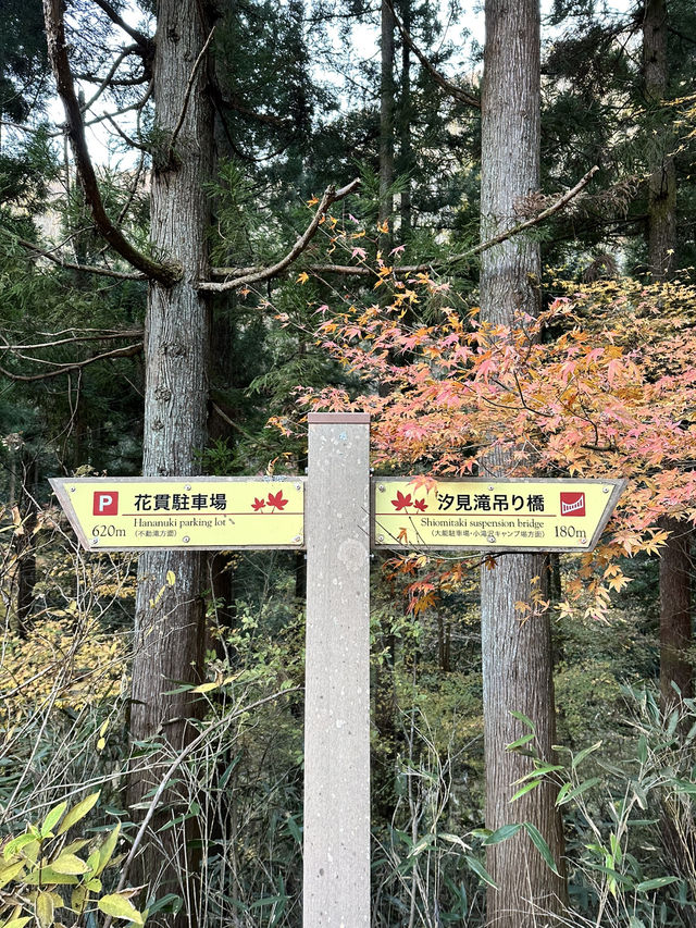 【茨城　花貫渓谷】