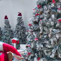 🎅🤶คาเฟ่ฟีลเมืองนอก ใกล้กรุงเทพฯ