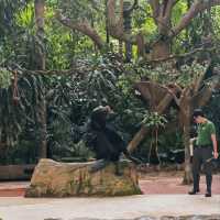 Singapore Zoo and River Wonders - Perfect plan for weekend Getaways